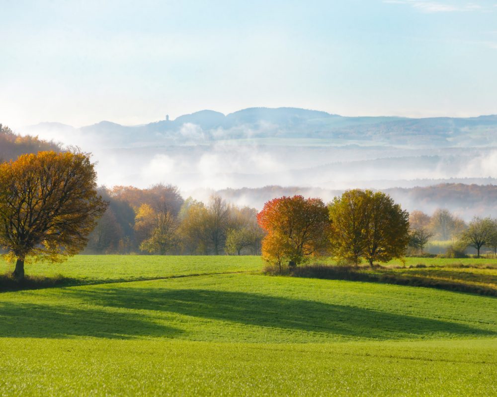 Fields and trees in autumn, early morning mist arose from the Rhine valley, Westerwald, view onto the hills of the Eifel