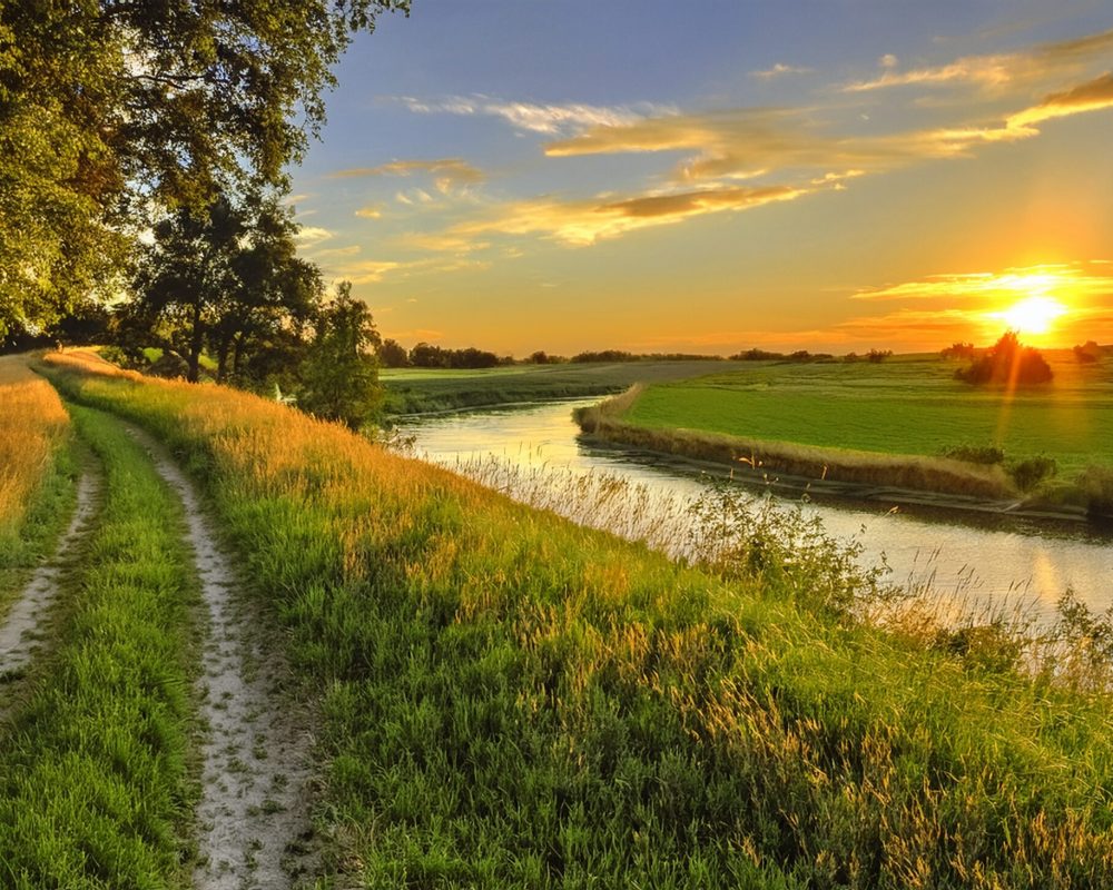 Firefly_4d6721b3-e986-4080-a970-9b122cd675e3